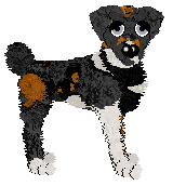 Poppyhill's Evening Star at SzK — “Hesper”