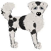 Profile image of Rattlesnake/King's So Very Fluffy