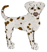 Sz's Paradise Will Be a Kind of Library — “Librarian”