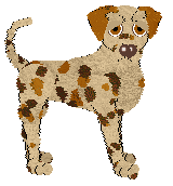 Profile image of Sz's Not Sorry