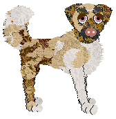 Profile image of BlooStarr's Variety of Life at SzK