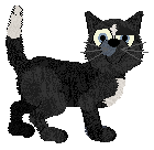 Profile image of Rainy/Mockingbird's Hyphenated