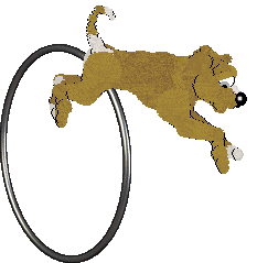 Arrow's Green Light in My Eyes — “Daisy”