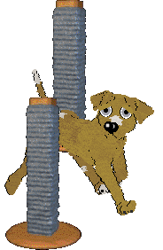 Arrow's Green Light in My Eyes — “Daisy”