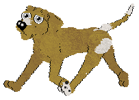 Profile image of Arrow's Green Light in My Eyes