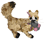 SeaGlass's Fresh From the Fields — “Potato”