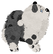 Tea/APK's Bao Bun — “Bun”