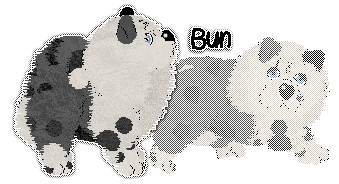 Profile image of Tea/APK's Bao Bun