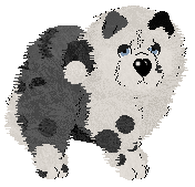 Tea/APK's Bao Bun — “Bun”