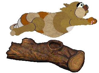 Sungraze/Arrow's Gordito — “Orevan”