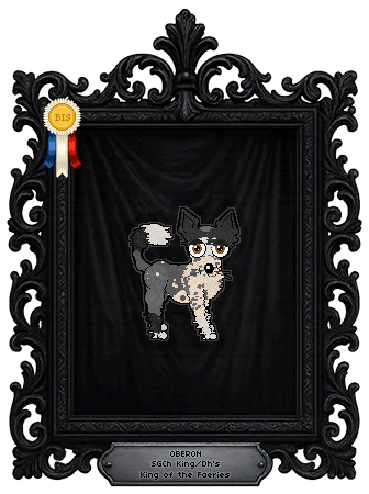 Profile image of King/Dh's King of the Faeries