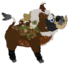 Wildwood/Dh's Boarwatch Babe — “Hamela Anderson”