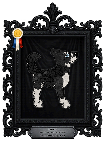 Profile image of Krunchez/Dh's Ancestor's Apostle