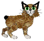 Profile image of PH’s God of War