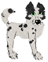 Starfrost's Scientific Farm Animal @ Mockingbird — “Georgie”