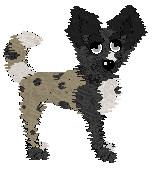 Profile image of Lex/Mockingbird's Coffee Creamer