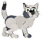 Profile image of King's Salty Sea Dog