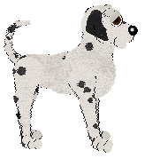 Sz's Sky Is The Limit @ Mockingbird — “Toonie”