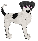 Profile image of Sz's Nightshade