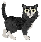 Profile image of NIGHTMOON's Party Hostess