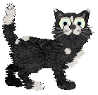 Ferality's Venture Capitalist at Vanilla — “Rich”