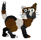 Rattlesnake's Moors Beside the Sea — “Truro”