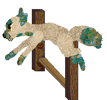 Tangled's That Which Is Gleaming @ Sekkanza — “Faience”