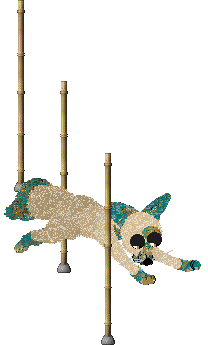 Tangled's That Which Is Gleaming @ Sekkanza — “Faience”