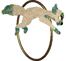 Tangled's That Which Is Gleaming @ Sekkanza — “Faience”