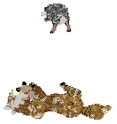 SeaGlass's Laundry Terror — “Lint”