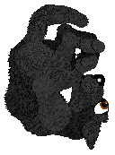 SeaGlass's Green is my Middle Name — “Bob G. Groon”