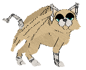 Profile image of SeaGlass's Dreams of Dunes and Retamas