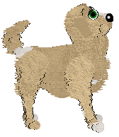 Powerhouse Bacon and Eggs @ Mockingbird — “Breakfast”