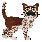 Calluna's Pacific Rain @ Mockingbird — “Coho”