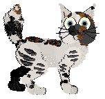 Profile image of Xoops/Tangled's Cat In the Box