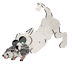 SeaGlass's Neath the Sumac Shrub — “DryBone”