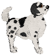 EC's Nutty Putty — “Acorn”