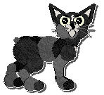 Profile image of Calluna's Shrimp Tempura