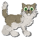 Profile image of King's Pocket Bear