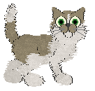 King's Pocket Bear — “Bear”