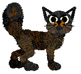 Witz Festering Rot — “Fester”