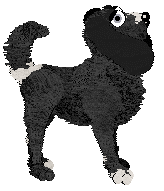 King's Forbidden City — “Palace”