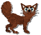 Profile image of Witz Good Jeans