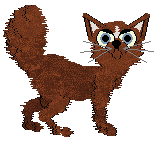 Witz Good Jeans — “Ragged Priest”