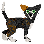 Witz's In The Miso Soup at Perfume — “Solstice”