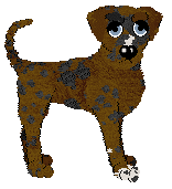 Profile image of Witz's Queen Anne's Lace