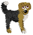 Witz Raisins Do Belong In Cookies — “Oatmeal Raisin Cookie”