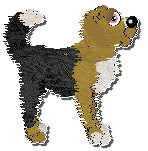 Profile image of Witz Raisins Do Belong In Cookies