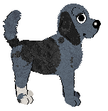 Cargo's Purest Cotton — “Chino”