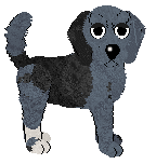 Cargo's Purest Cotton — “Chino”